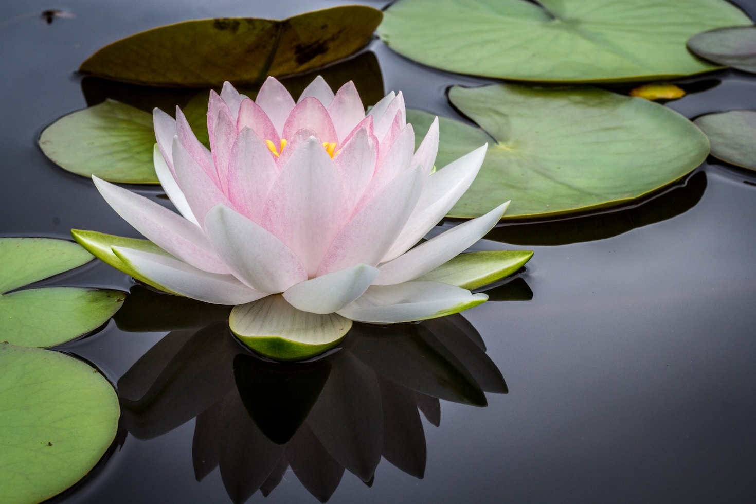 Mindfulness-øvelser for instruktører